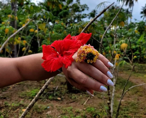 Jozani Forest + Spice Farm & Prison Island (2)