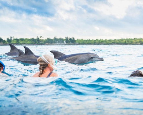 Kizimkazi Dolphins (1)