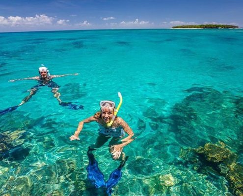 Mnemba Snorkeling (1)