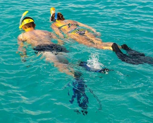 Mnemba Snorkeling (2)