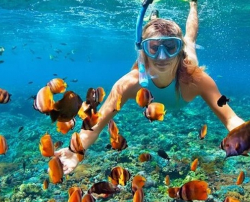 Mnemba Snorkeling (6)