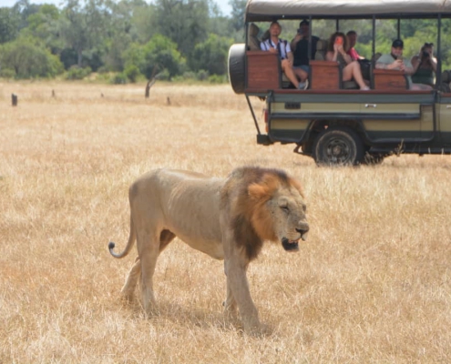 One-day safari in SELOUS PARK, departure from Zanzibar (4)
