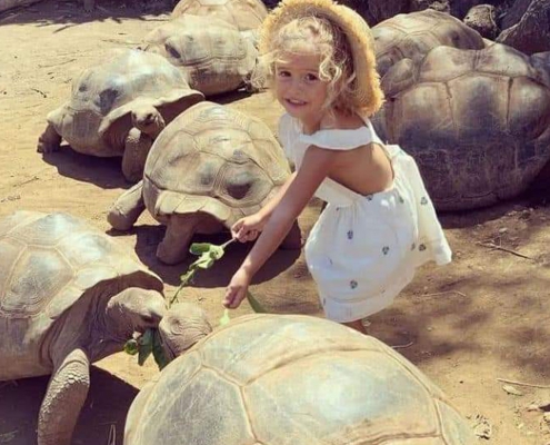 Spice Farm + Prison Island & Stone Town (5)