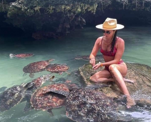 Swimming With Turtles & Sunset Dhow Cruise (4)