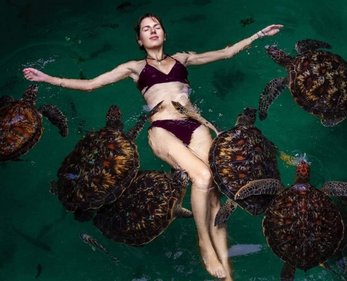 Swimming With Turtles & Sunset Dhow Cruise (6)